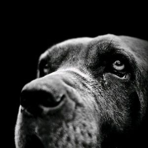 Meet your Posher, Tasha